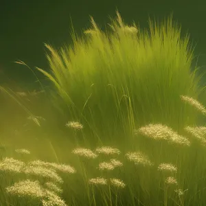 Vibrant Aquatic Plant in Sunny Meadow