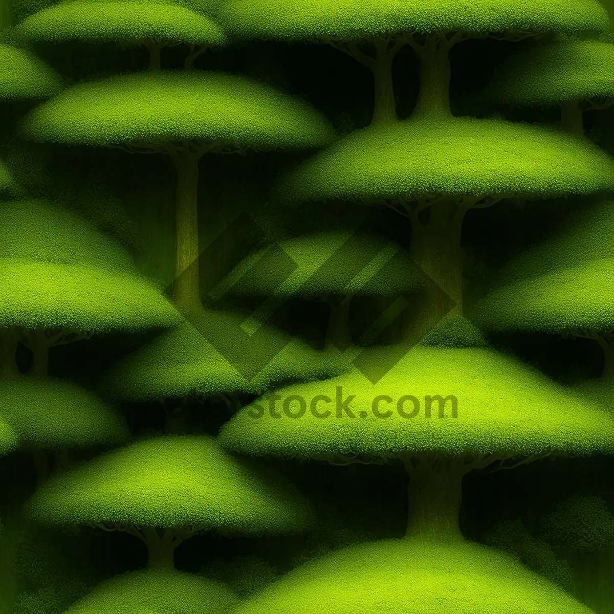 Picture of Fresh Green Pea Plant Closeup