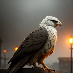 Bald Eagle; Majestic Predator with Piercing Eyes