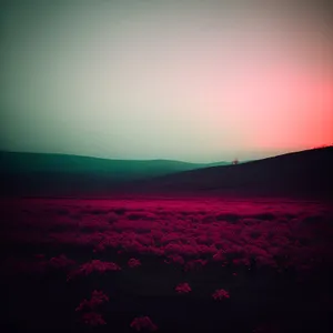 Sunset over the Meadow: Illuminated Landscape Amidst Clouds and Grass