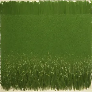 Vibrant Green Summer Meadow with Textured Grass