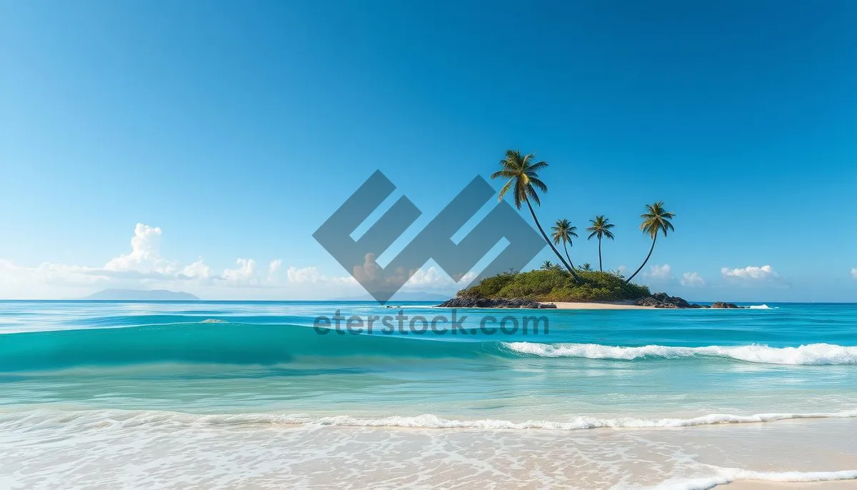 Picture of Tropical Paradise Beach Relaxation with Palm Trees