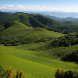 Highland Meadow in Mountain Landscape