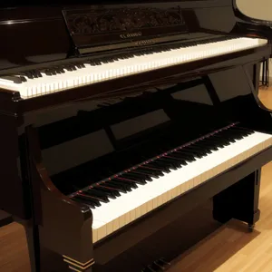 Playing a black grand piano with musician