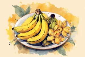 Fresh Organic Yellow Banana Bunch