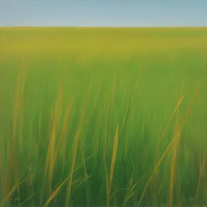Golden Harvest: Sun-kissed Wheat Field in Rural Landscape
