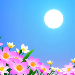 Bright Floral Design with Colorful Blooms