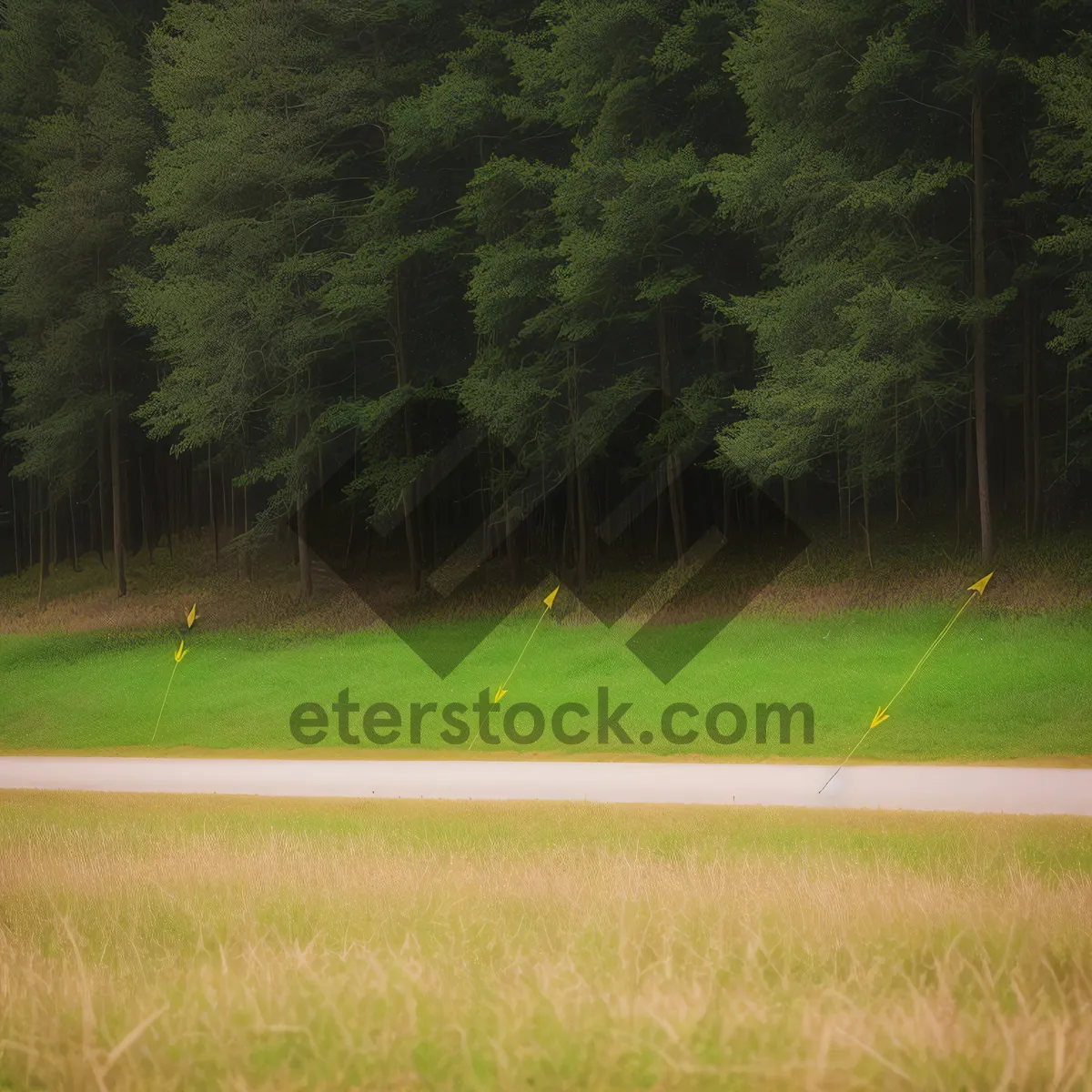 Picture of Serene Golf Scenery: Majestic Flag against Clear Blue Sky