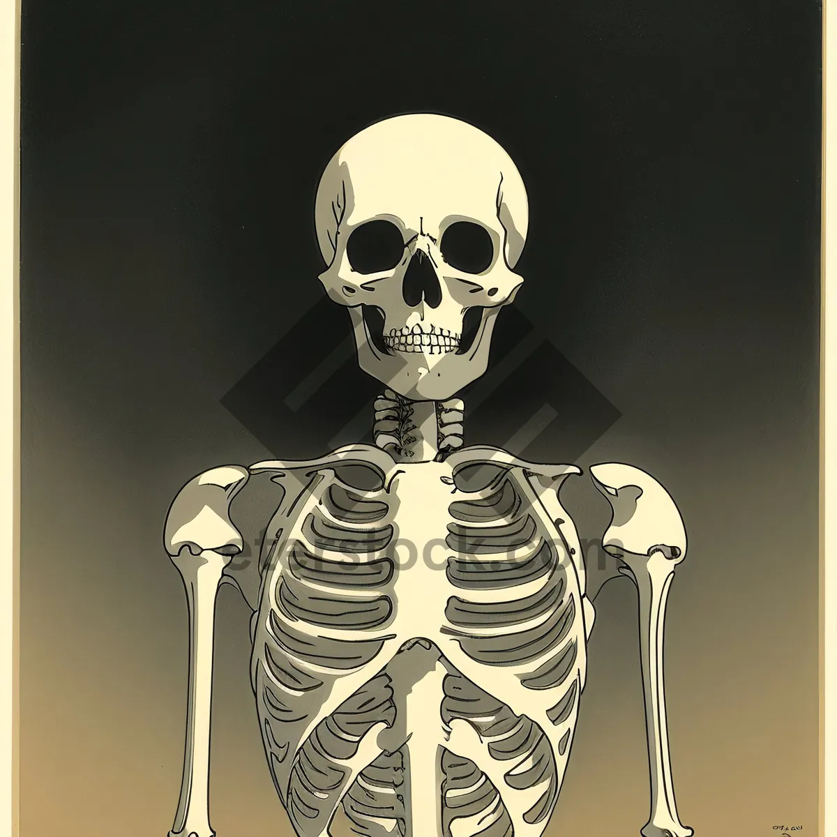 Picture of Anatomical Skull X-Ray: A Bone-chilling 3D Image