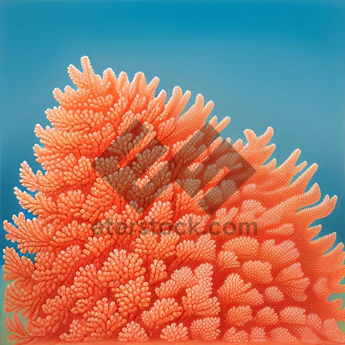 Picture of Lush Floral Cockscomb: A Vibrant Woody Vascular Plant