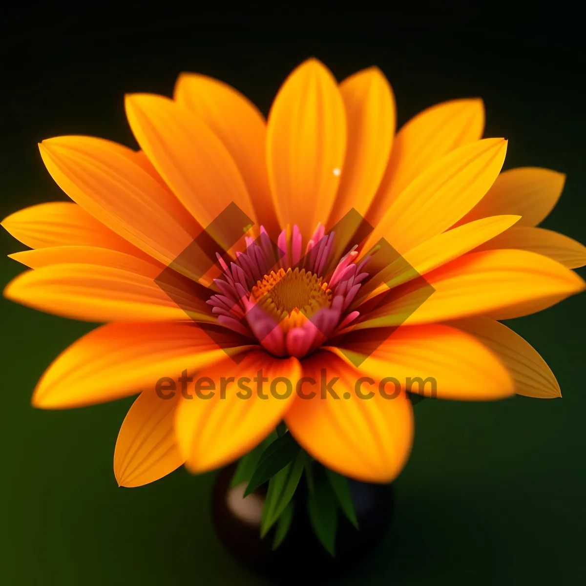 Picture of Vibrant Sunflower Blossom in Botanical Garden