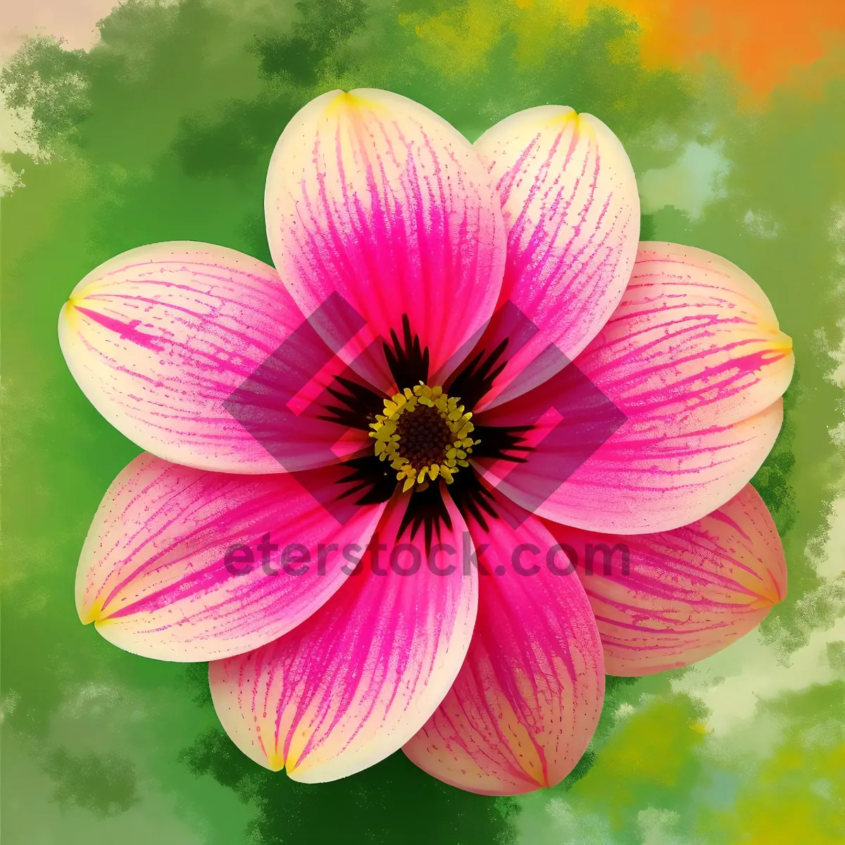 Picture of Pretty Pink Daisy Blossom in Summer Garden