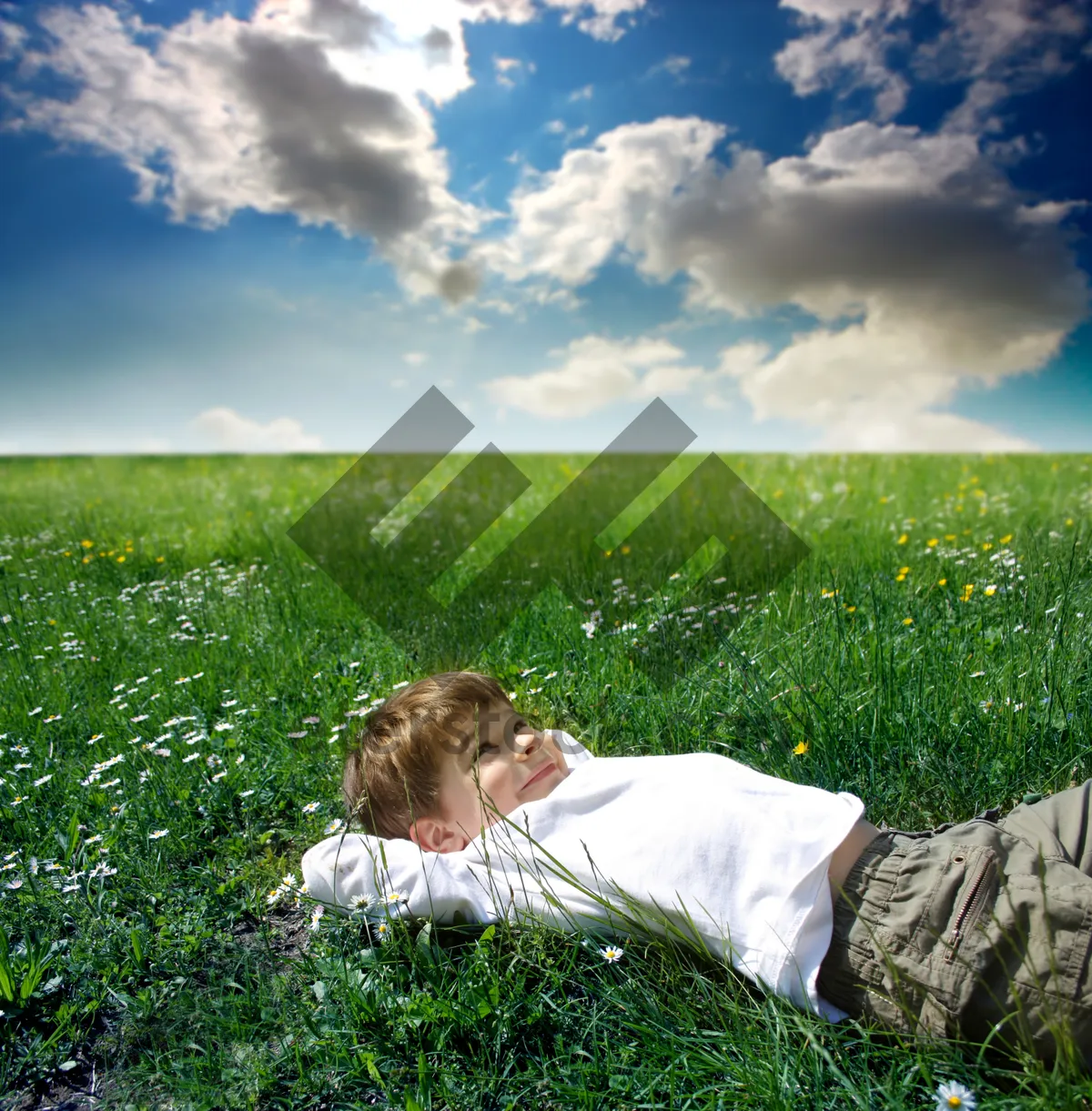 Picture of Sunny rural landscape with person in meadow.