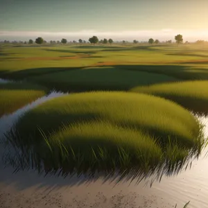 Golden Dune Horizon: Tranquil Landscape Under Cloudy Sky