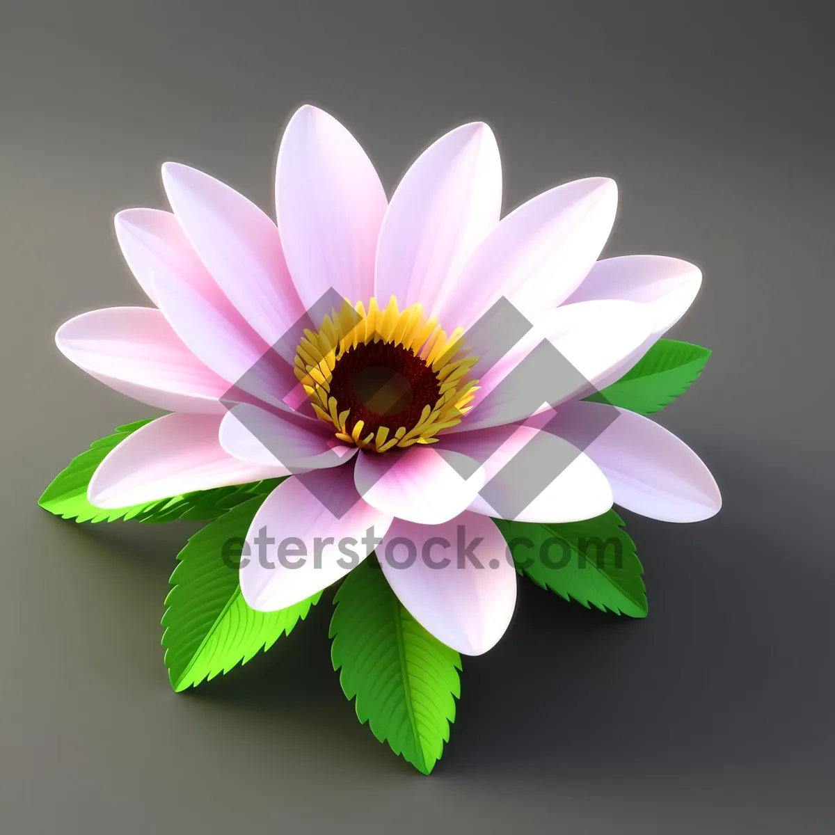 Picture of Pink Lotus Blossom: Delicate Floral Petals in Full Bloom