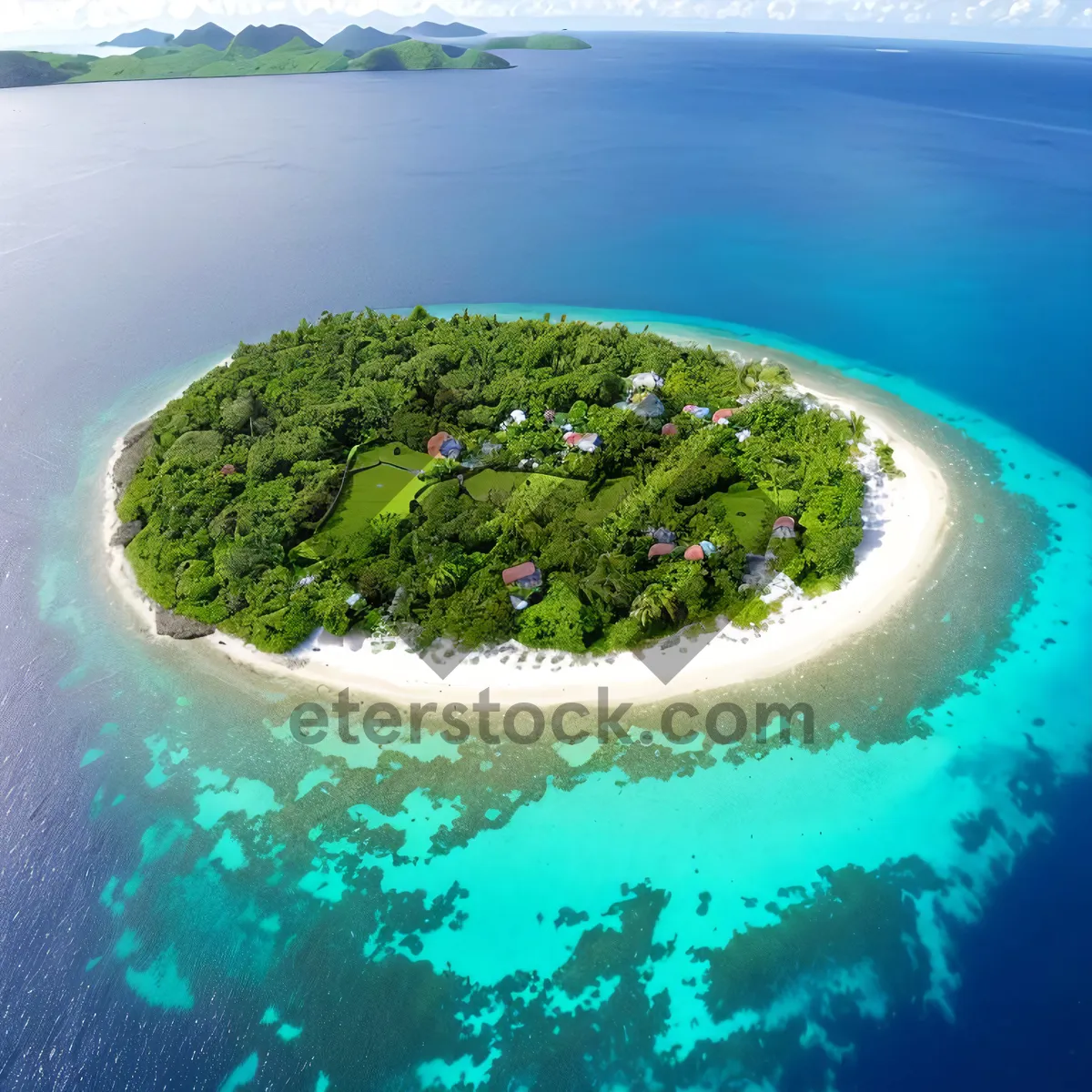 Picture of Tropical Veggie Delight by the Coast