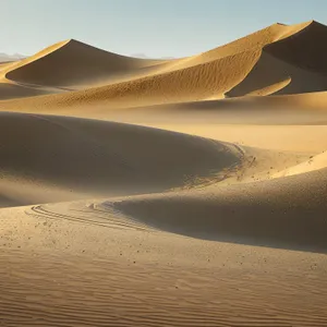 Vast Sandy Expanse: Desert Dunes under a Hot Sunny Sky