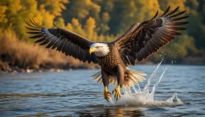 Fierce Eagle Soaring with Outstretched Wings in Flight