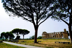 Scenic Countryside Park with Oak Trees and Blue Sky