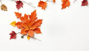 Autumnal Foliage in Vibrant Orange and Yellow Tones