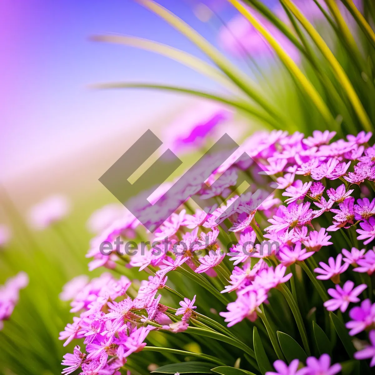 Picture of Floral Bliss: Pink Lilac Garden in Digital Design