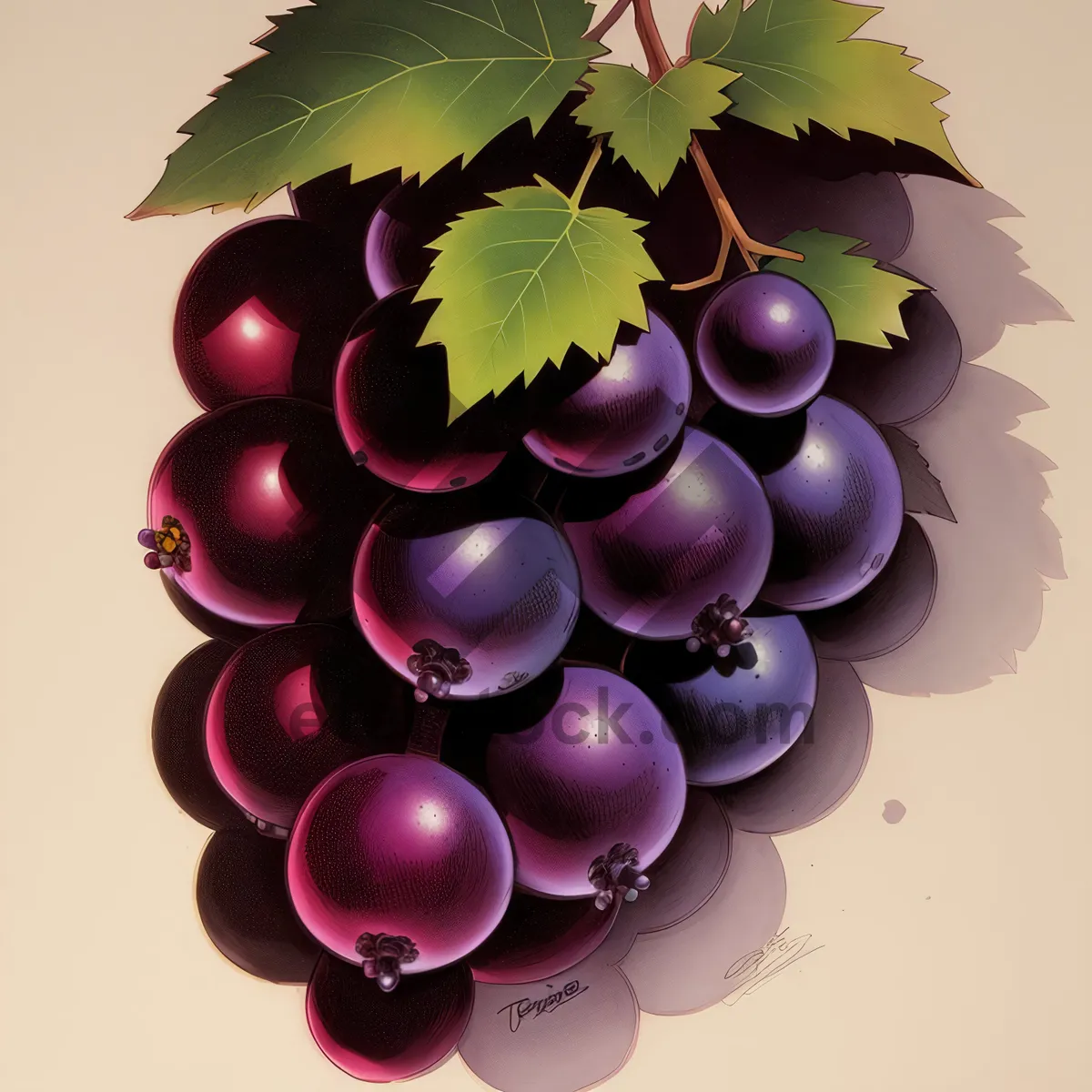 Picture of Winter Celebration: Juicy Ripe Grapes in Vineyard