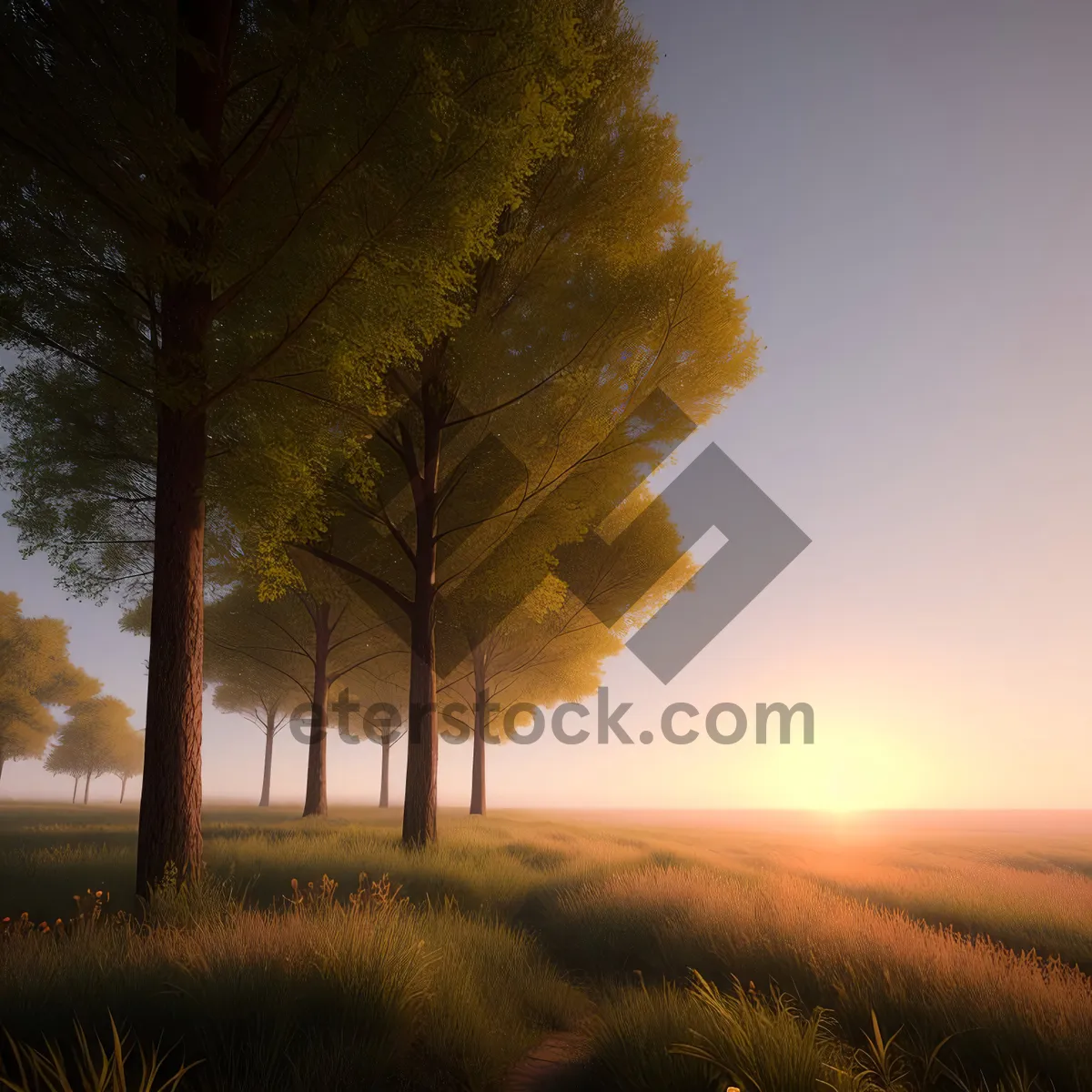 Picture of Sunlit Autumn Forest in the Countryside