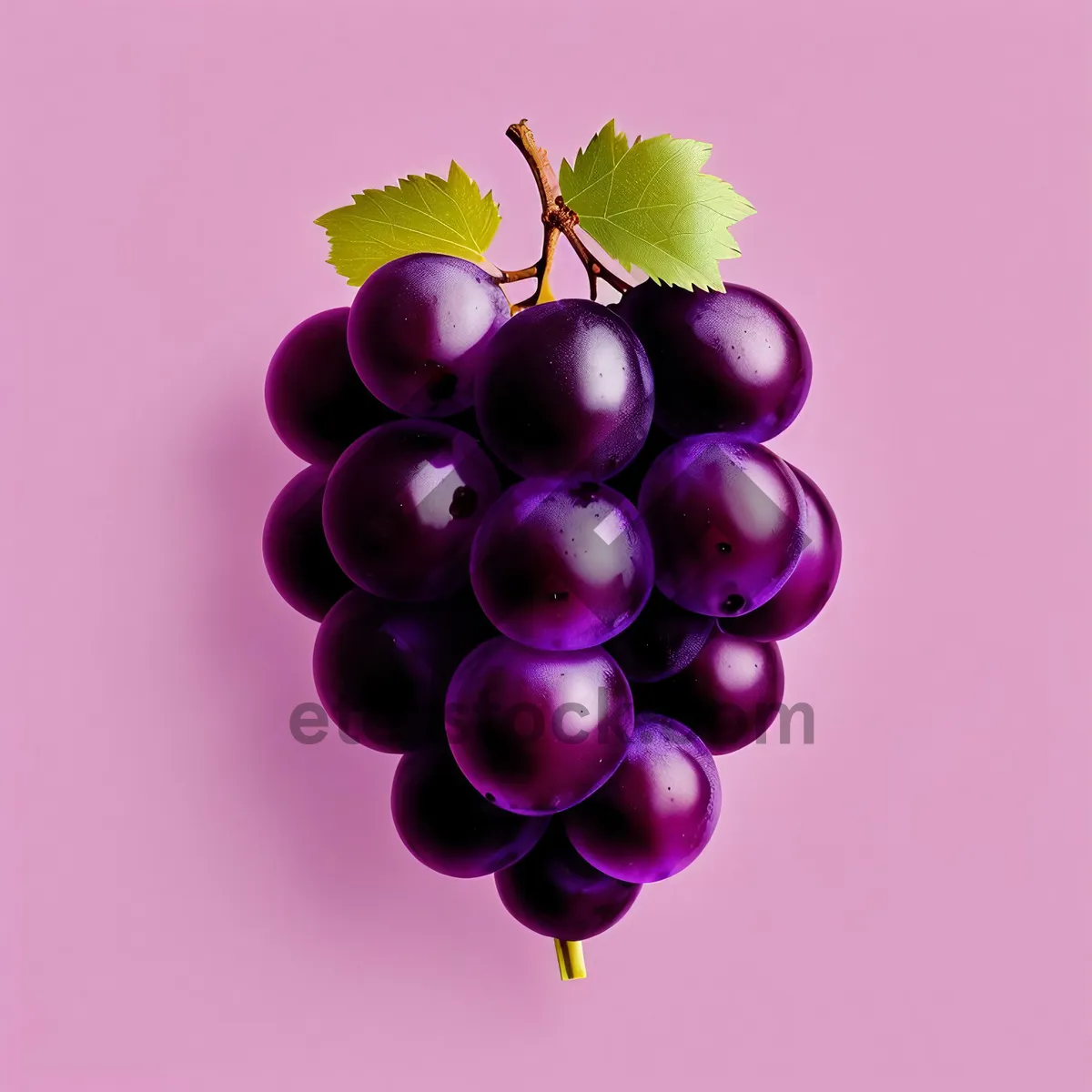 Picture of Juicy Vineyard Delight: Ripe Berry-licious Grapes