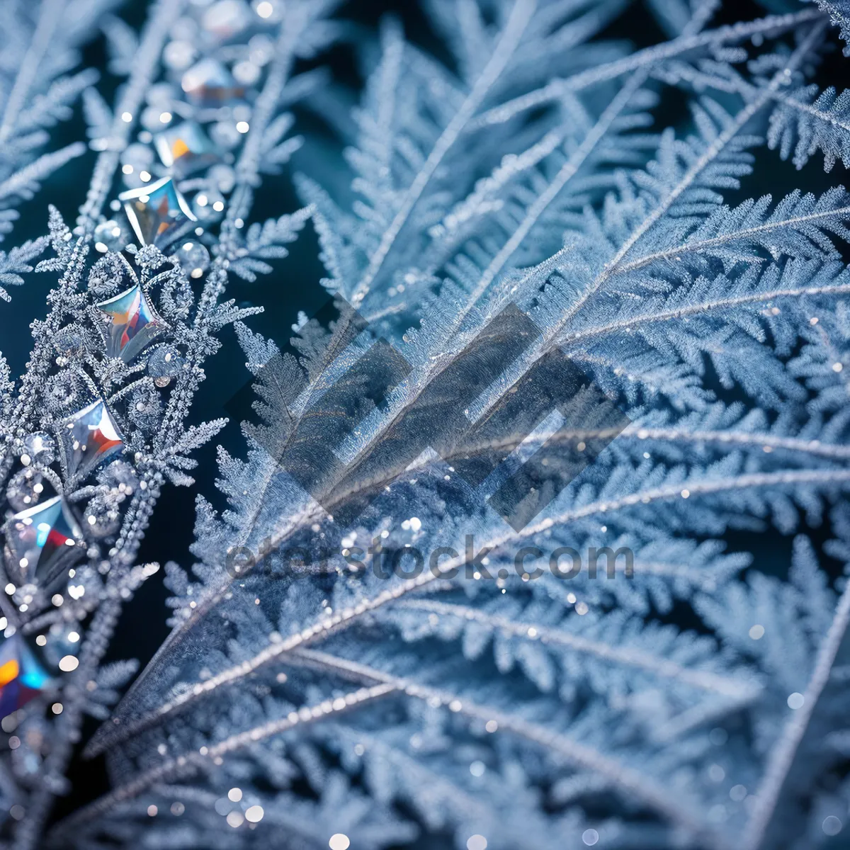 Picture of Frosty Winter Wonderland: Delicate Net Texture with Embroidered Snow Patterns