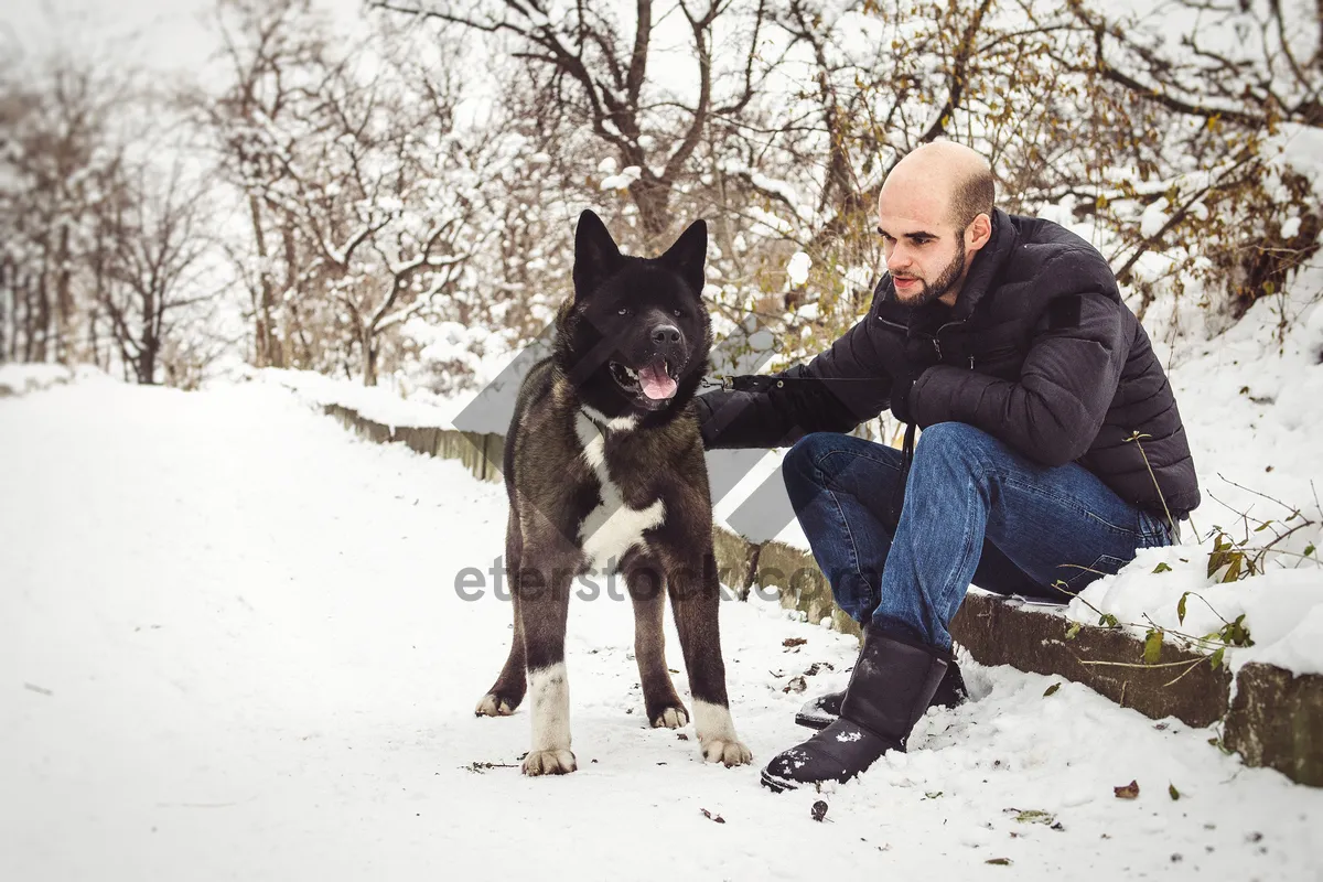 Picture of Snowy Forest Dog Playtime