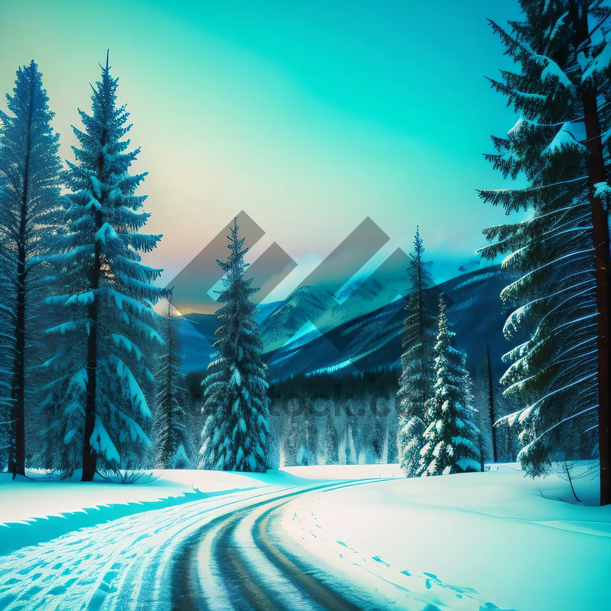 Picture of Winter Wonderland Cityscape with Snow-Covered Fir Trees