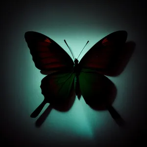 Colorful Cabbage Butterfly perched on a Petal