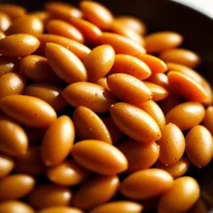 Organic Brown Kidney Bean - Nutritious Legume Seed