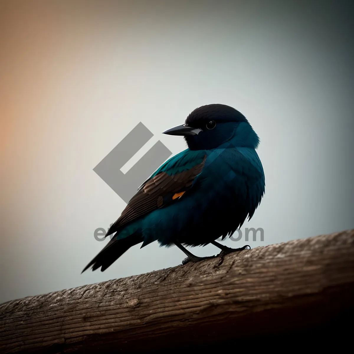 Picture of Indigo Bunting - Majestic Avian Beauty in Nature