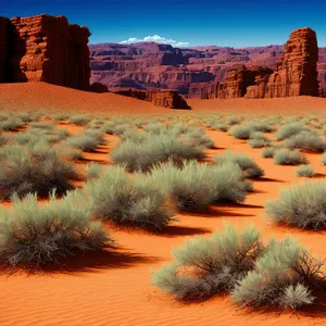 Majestic Desert Landscape with Vibrant Orange Sky