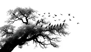 Winter tree silhouette with leaf and fir branches.