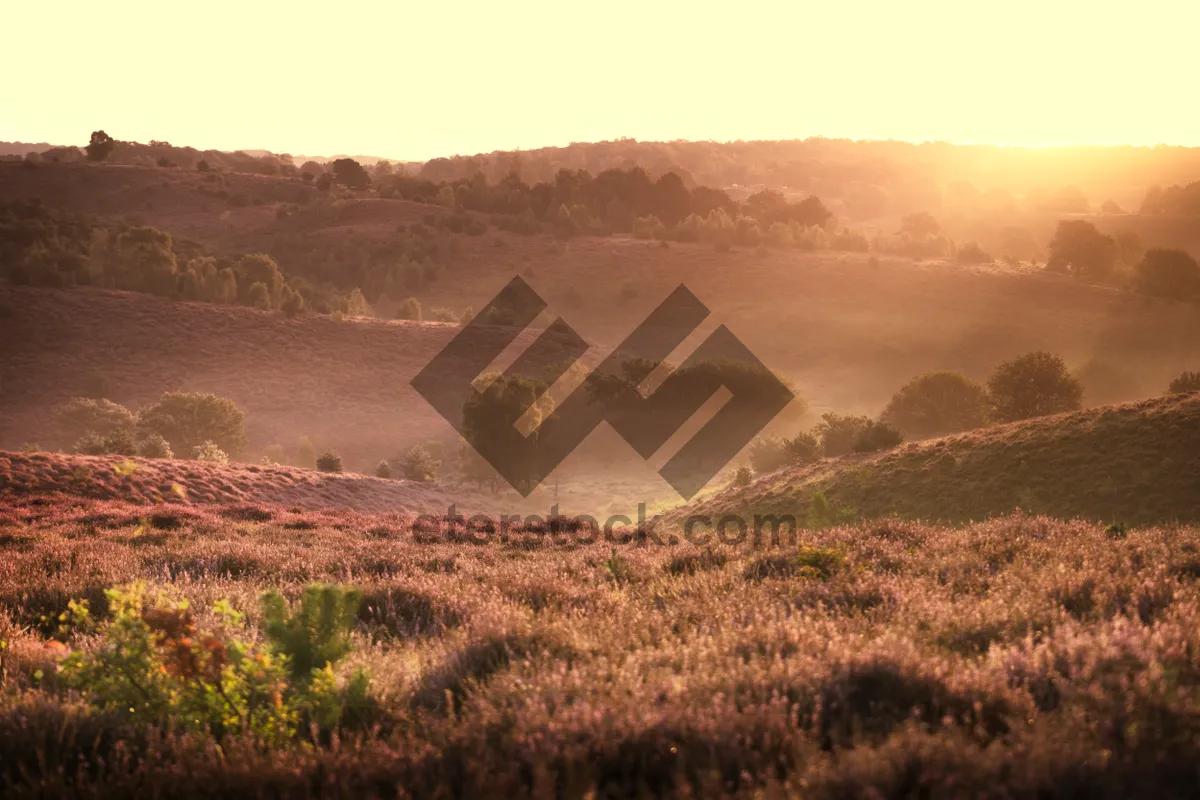 Picture of Scenic Mountain Valley Landscape View