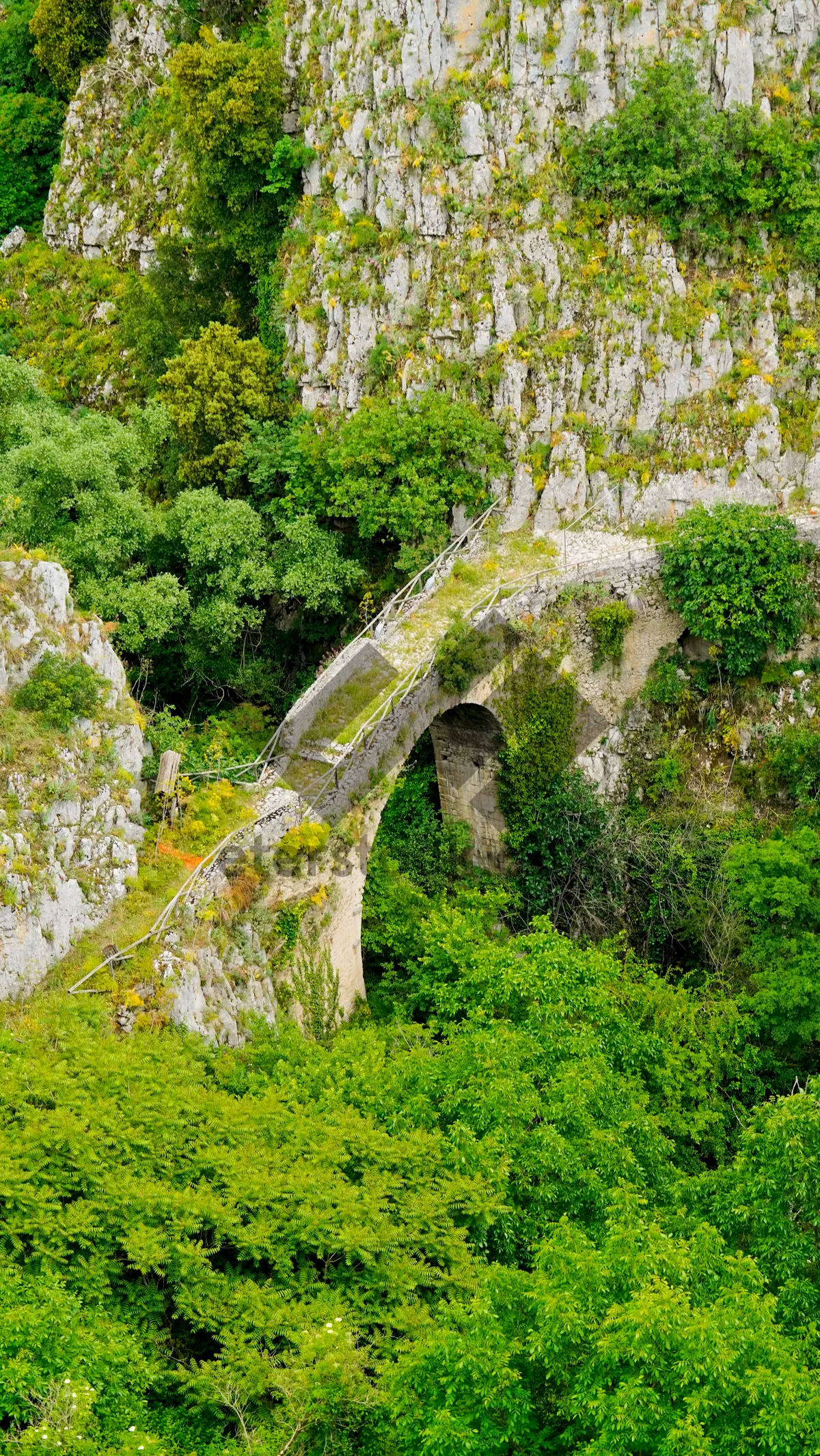 Picture of Scenic mountain view with river and viaduct