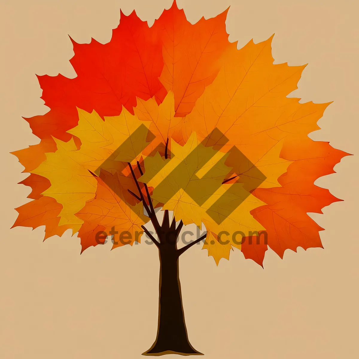 Picture of Vibrant Autumn Foliage - Colorful Leaves in a Forest