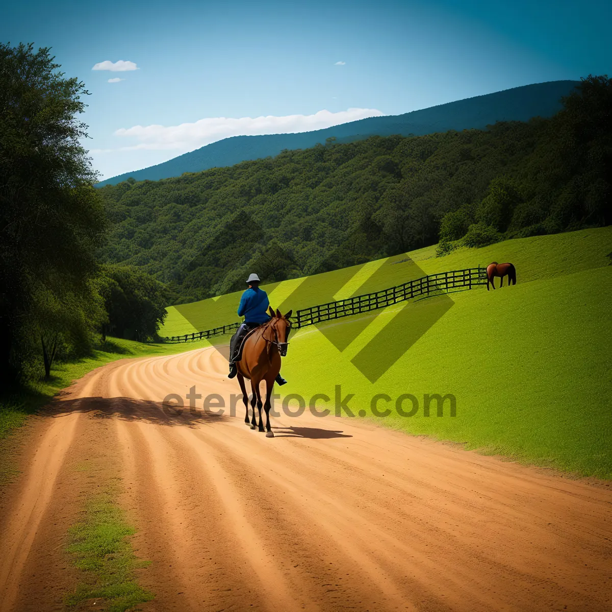 Picture of Scenic Mountain Road Adventure on Unicycle