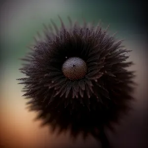 Colorful Night Sky With Fireworks and Sunflower