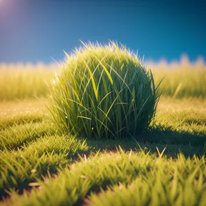 Vibrant Wheat Field in the Countryside