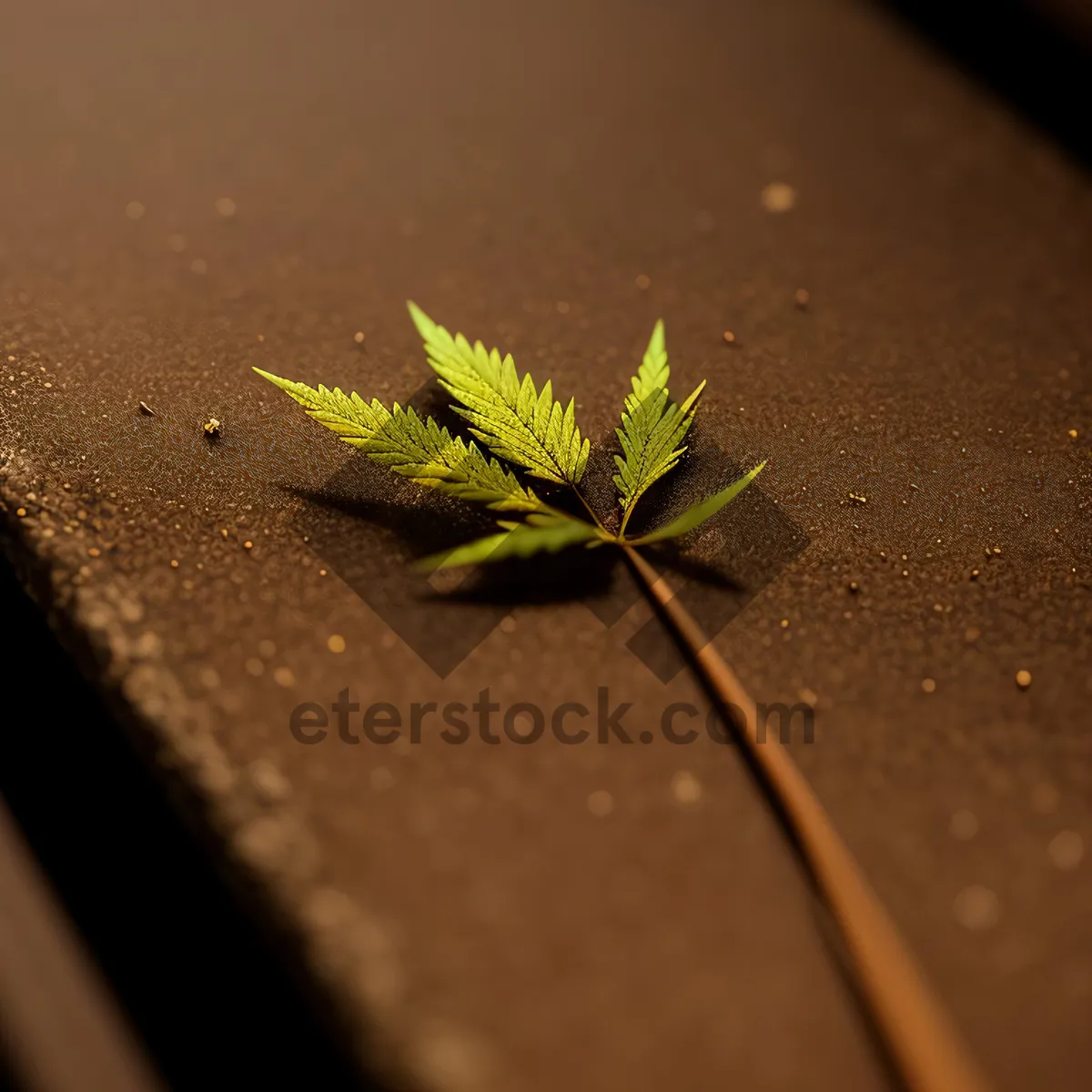 Picture of Lacewing on Leaf: Insect Camouflaged Amidst Green Growth