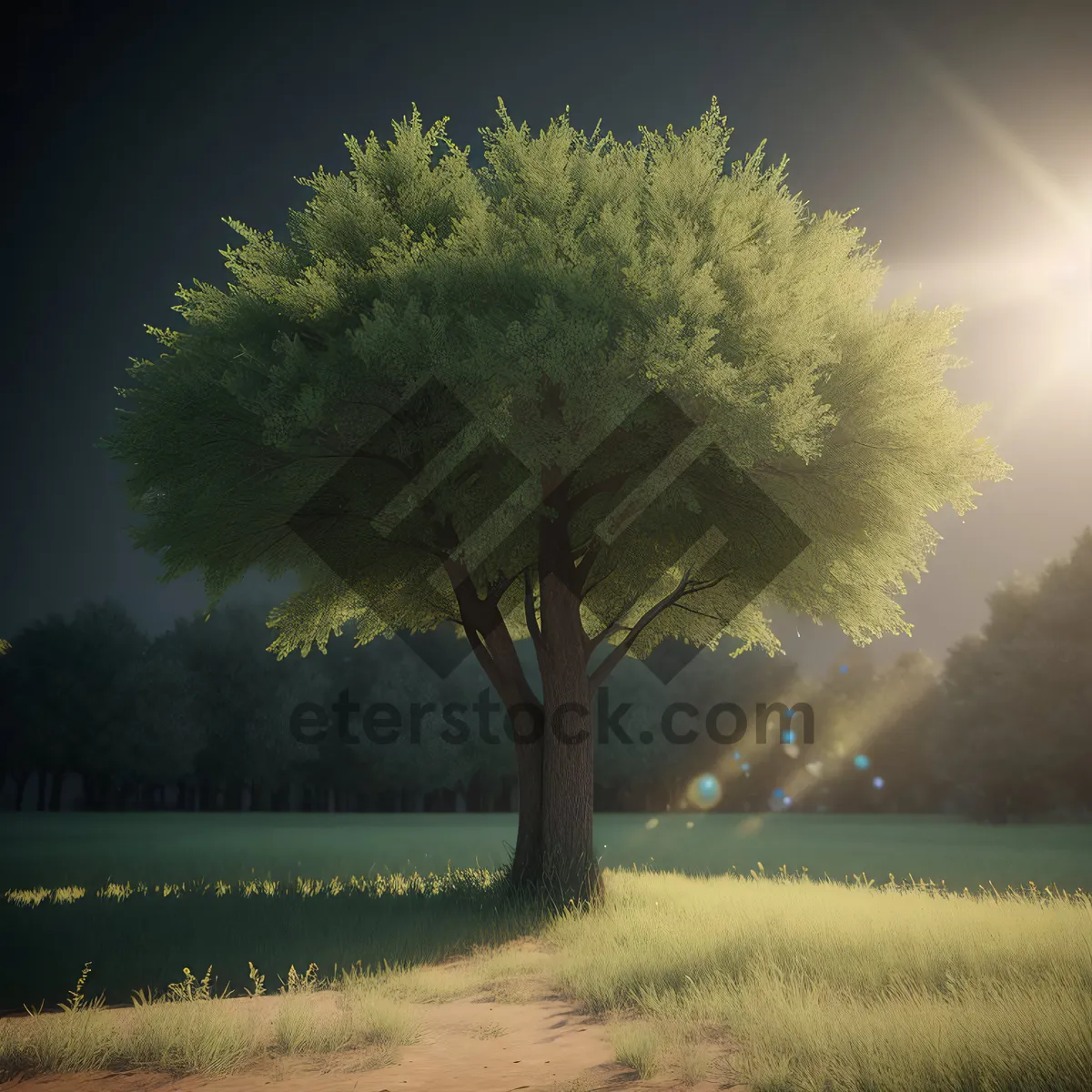 Picture of Golden Autumn Landscape with Oak Trees