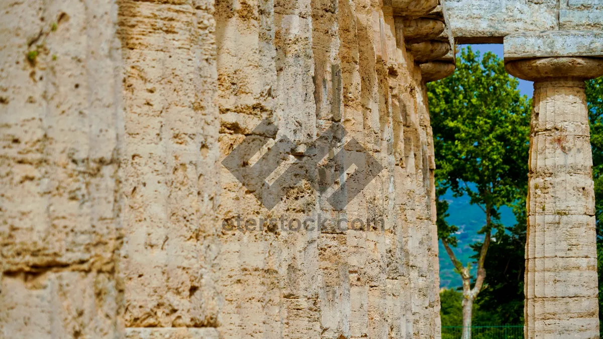 Picture of Rusty old wooden wall with textured detail