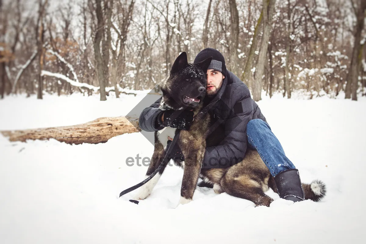 Picture of Winter fun with dogs in snowy forest landscape.