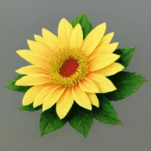 Bright Summer Sunflower Blossom in Field