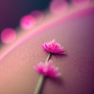 Petal-Pink Blossom: Vibrant Daisy in Spring