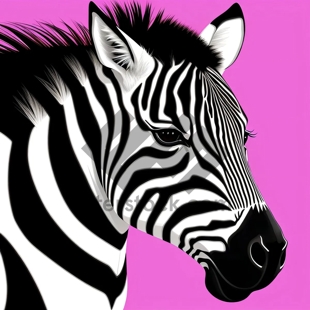 Picture of Striped Equine Grace in Wild Safari Reserve