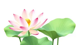 Floral Lotus Pattern in Pink and Light Colors